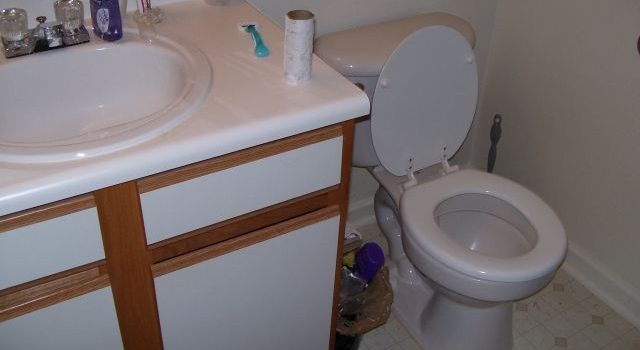 トイレの進化と快適生活